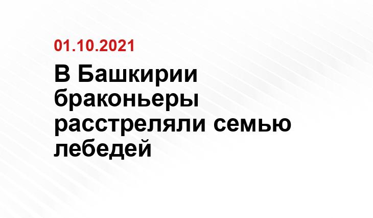 Азамат Лутов | Видео: Азамат Лутов