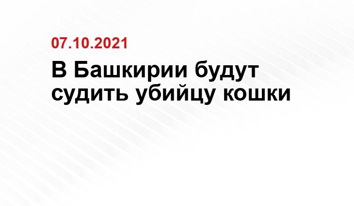 stom-mag.ru