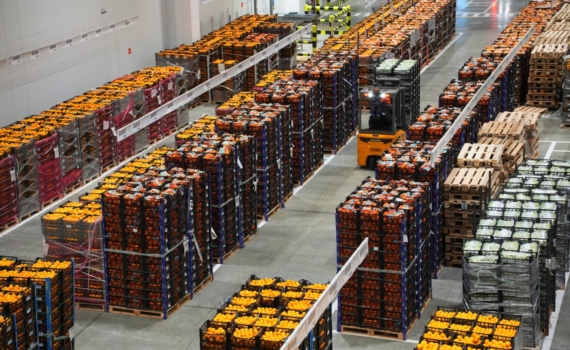 Предприятия потребительской сферы Кубани перечислили в бюджет 75,1 млрд рублей