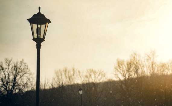 Луна в Тельце 25.11.2025: почему деньги сами пойдут в руки, если не мешать — что можно и нельзя