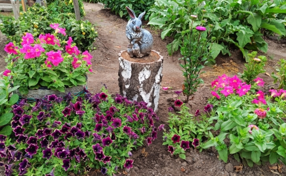 Ваш старый сад может стать раем: 5 шагов к преображению своими руками Ваш старый сад может стать раем: 5 шагов к преображению своими руками