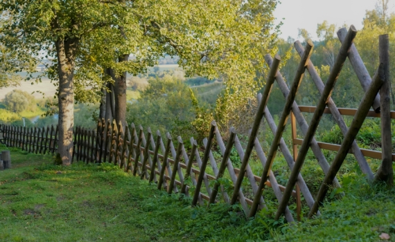 Профлист в прошлом: зелёная стена — современный забор, который не нужно красить, поливать или стричь Профлист в прошлом: зелёная стена — современный забор, который не нужно красить, поливать или стричь